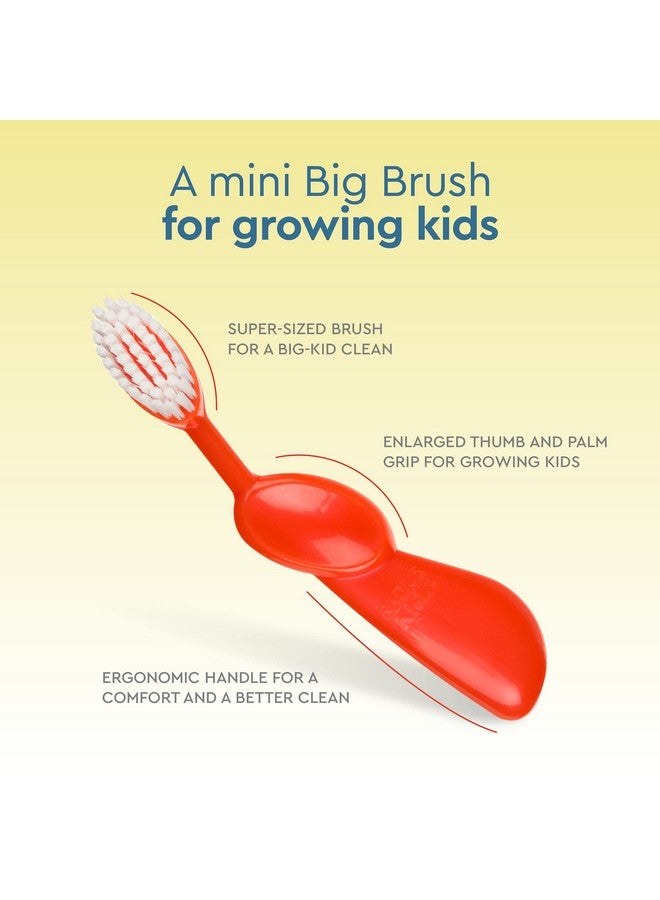 Radius Kidz Toothbrush Children'S Right Hand Bpa Free Ada Accepted Designed To Clean Teeth & Gums For Children 6 Years & Up - Green Blue Orange - Pack Of 3 - Image 3