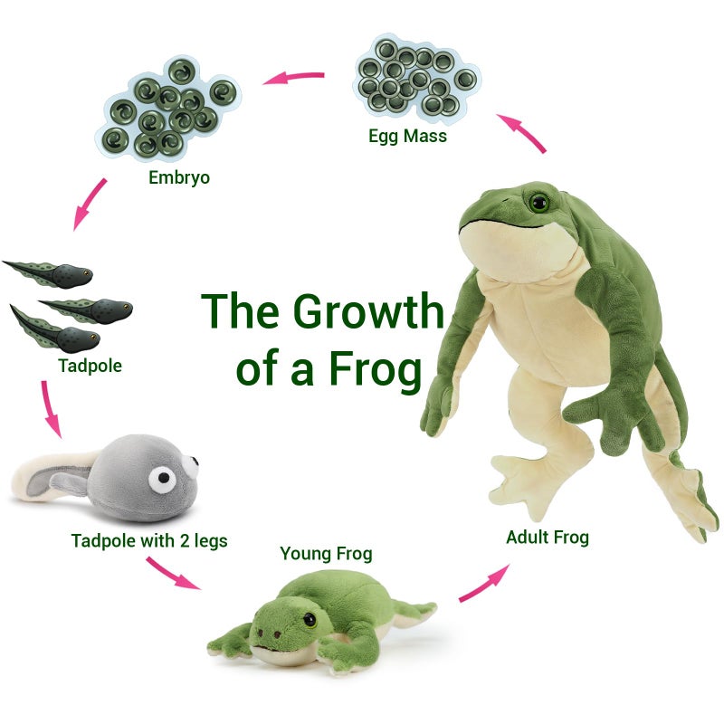 MaoGoLan Frog Stuffed Animal Plush Toys,Green Mommy Frog Plush and 4 Baby Frog Toys for Kids,Cute Plush Toad Toys,Soft Stuffed Frog Gifts for Baby Shower Birthday Decor Holiday - Image 3