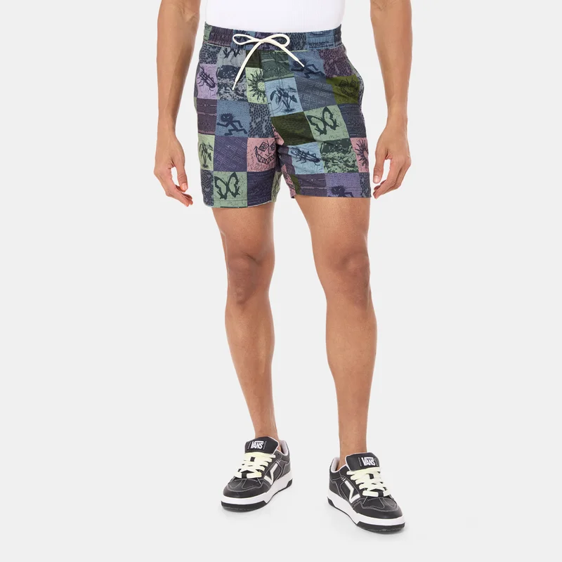 VANS Men's Primary Print Board Shorts