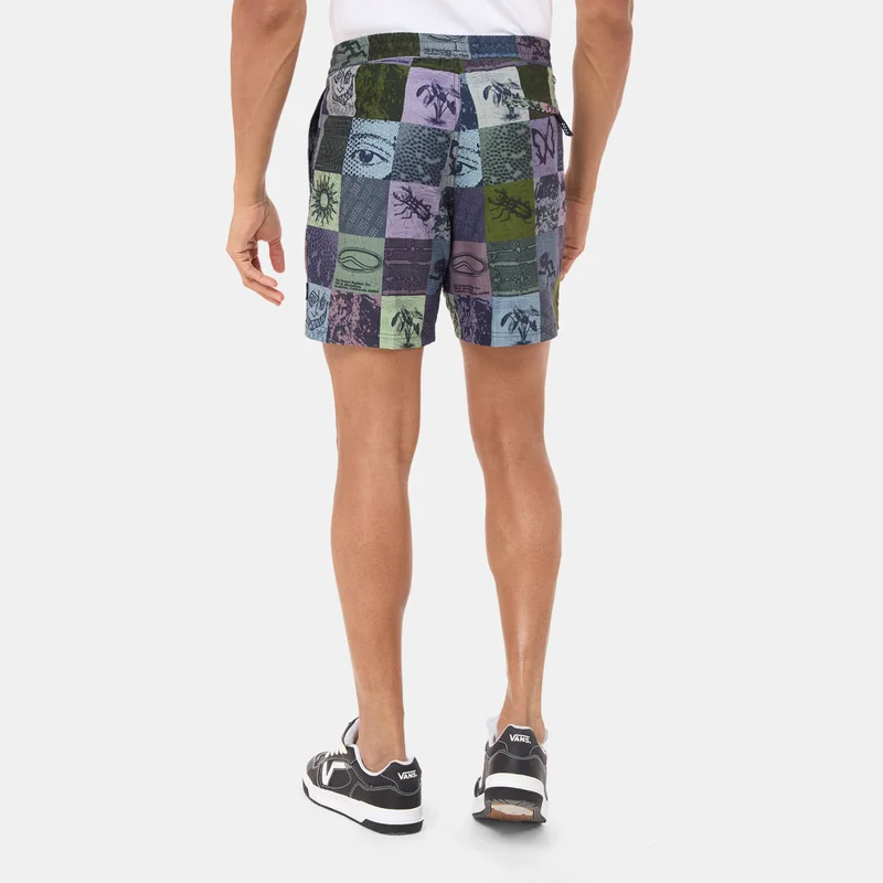 VANS Men's Primary Print Board Shorts