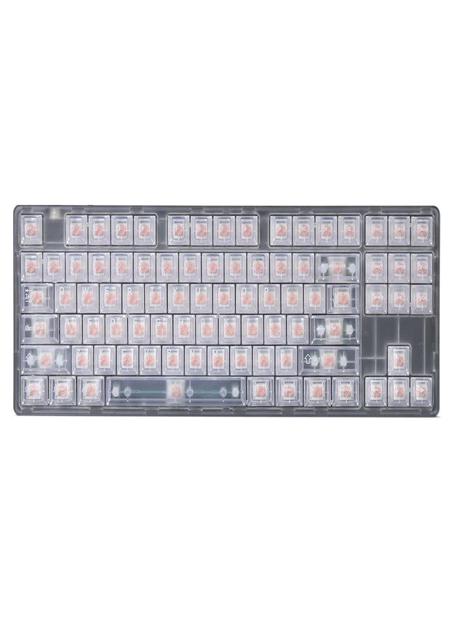 DROP + MiTo Keysterine Transparent ABS Keycap Set R2 - Grape - 60%, 65%, 75%, TKL, WKL, 1800, 96-Key, Full-Size and More Cherry MX Style Keyboard Compatibility - Image 1