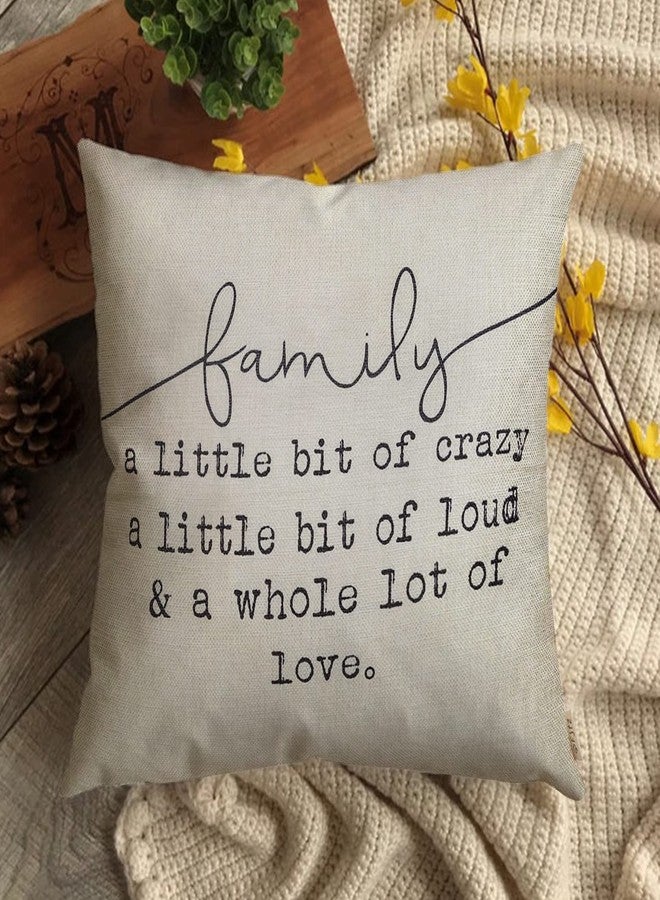 Fjfz Family a Little Bit of Crazy Decorative Throw Pillow Covers, Farmhouse Quote Home Rustic Decorations, Christmas Inspirational Gifts Winter Cotton Linen Cushion Case Decors for Sofa Couch 18 × 18 - Image 4