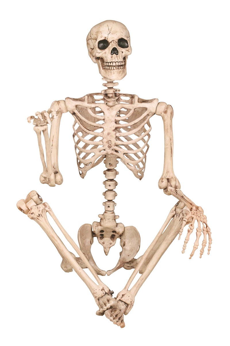 Crazy Bonez Original Pose-N-Stay Halloween Skeleton, 5 FT - Life-Size, Realistic, Fully Poseable Indoor & Outdoor Decoration, Durable Plastic Spooky Prop for Yard, Porch, Haunted House - Image 1