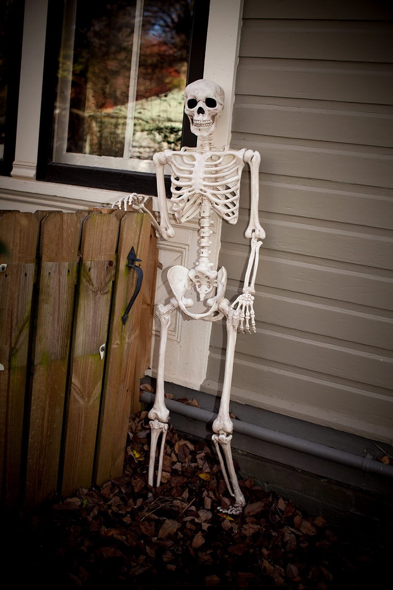 Crazy Bonez Original Pose-N-Stay Halloween Skeleton, 5 FT - Life-Size, Realistic, Fully Poseable Indoor & Outdoor Decoration, Durable Plastic Spooky Prop for Yard, Porch, Haunted House - Image 3
