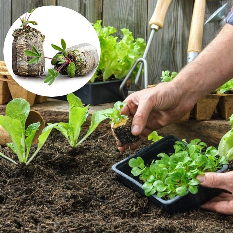 ويوبلز 10/40 عبوة من أقراص الخث الأصلية 30 مم، لبدء البذور وإكثارها وإنباتها، وزراعة نباتات الحدائق/عقل الخضراوات/قابلة للتحلل الحيوي لنباتات الحدائق والزهور (40 قطعة) - Image 3