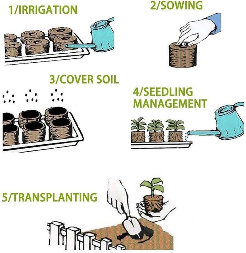 ويوبلز 10/40 عبوة من أقراص الخث الأصلية 30 مم، لبدء البذور وإكثارها وإنباتها، وزراعة نباتات الحدائق/عقل الخضراوات/قابلة للتحلل الحيوي لنباتات الحدائق والزهور (40 قطعة) - Image 5