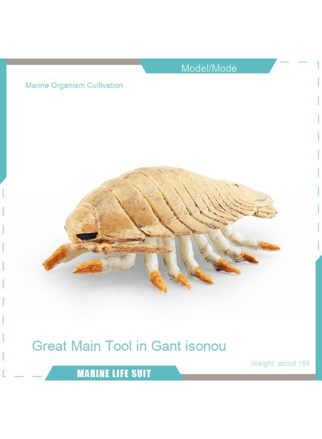 NIBEMINENT Realistic Marine Animal Models - Cross-Border Static Desktop Decor