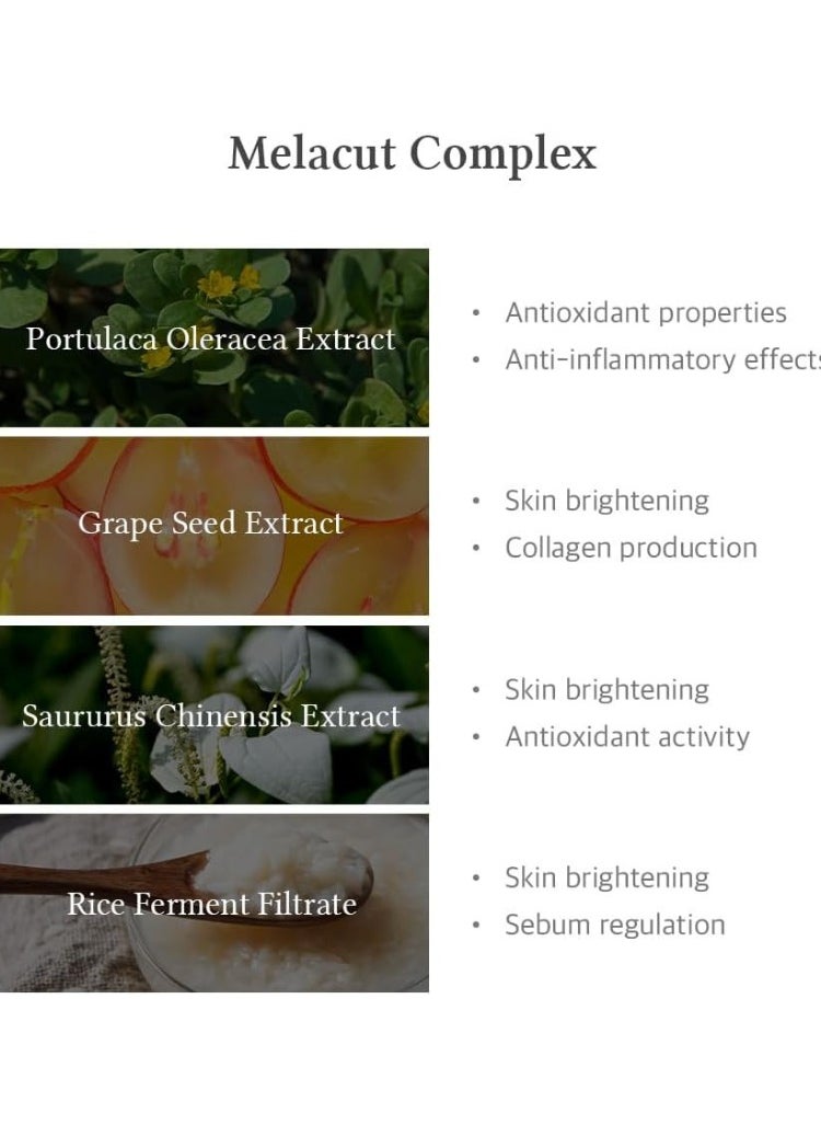 Dr.althea Dr. Althea 15% Niacinamide Purity Serum – Brightening & Oil-Control Serum, 30ml – Reduces Dark Spots & Minimizes Pores  - Image 5