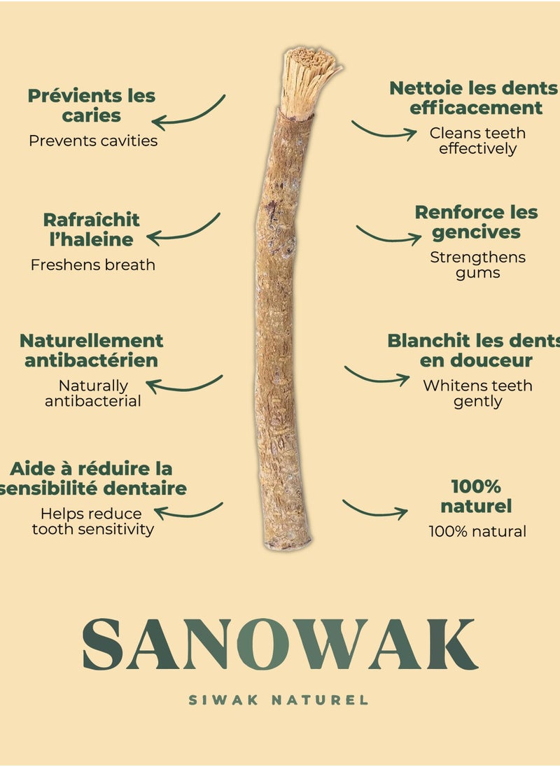 Sanowak Miswak Stick / 100% Natural Siwak Sticks – 5 Organic Wooden Toothbrushes with Plastic Holder | Teeth Whitening & Oral Care | 100% Chewable & Antibacterial | Eco-Friendly & Vacuum Sealed  - Image 4