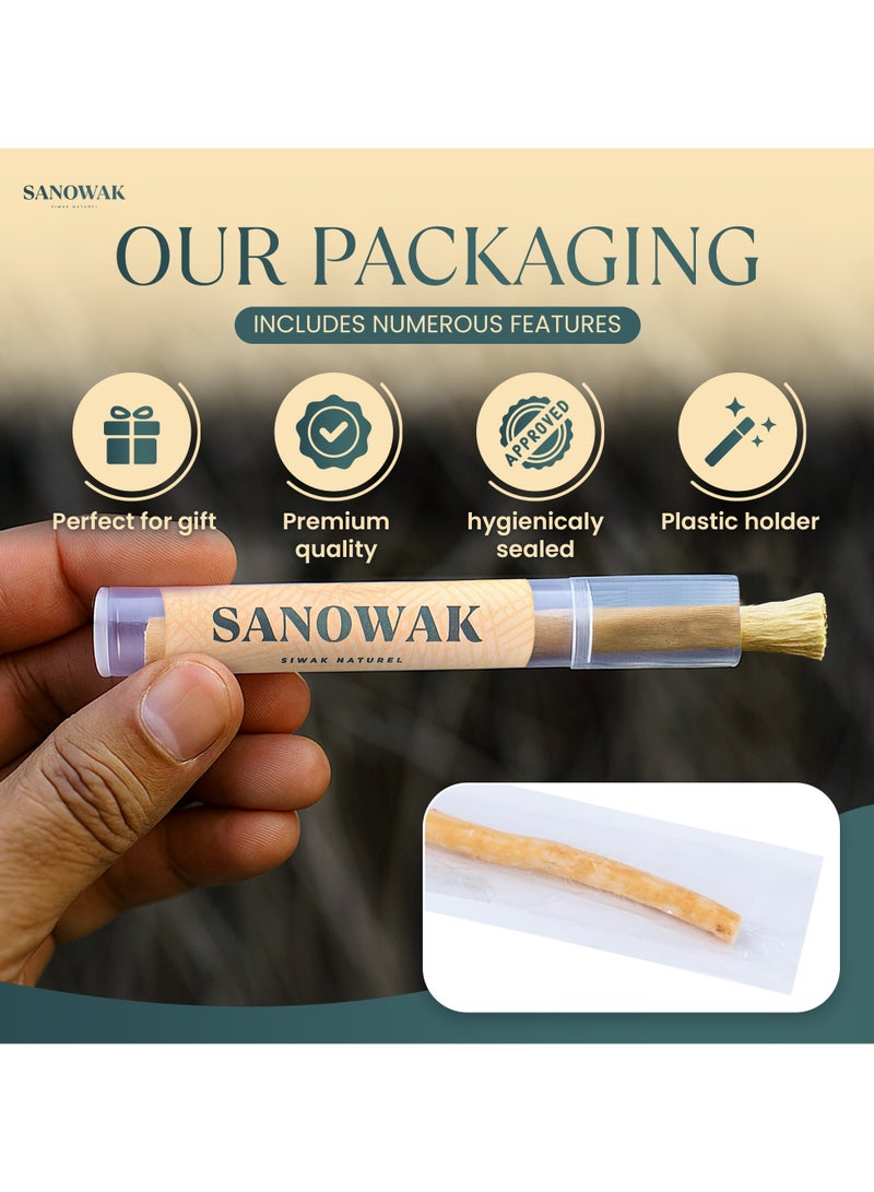 سانوك عِوَد مِسْواك / أعواد سواك طبيعية 100% – 5 فرش أسنان خشبية عضوية مع حامل بلاستيكي | لتبييض الأسنان والعناية بالفم | قابلة للمضغ 100% ومضادة للبكتيريا | صديقة للبيئة ومختومة بتفريغ الهواء - Image 3