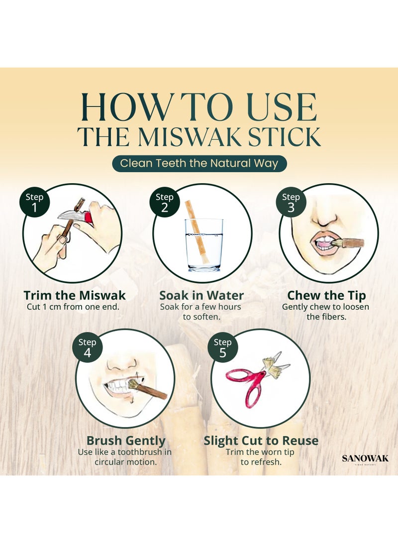 سانوك عِوَد مِسْواك / أعواد سواك طبيعية 100% – 5 فرش أسنان خشبية عضوية مع حامل بلاستيكي | لتبييض الأسنان والعناية بالفم | قابلة للمضغ 100% ومضادة للبكتيريا | صديقة للبيئة ومختومة بتفريغ الهواء - Image 2