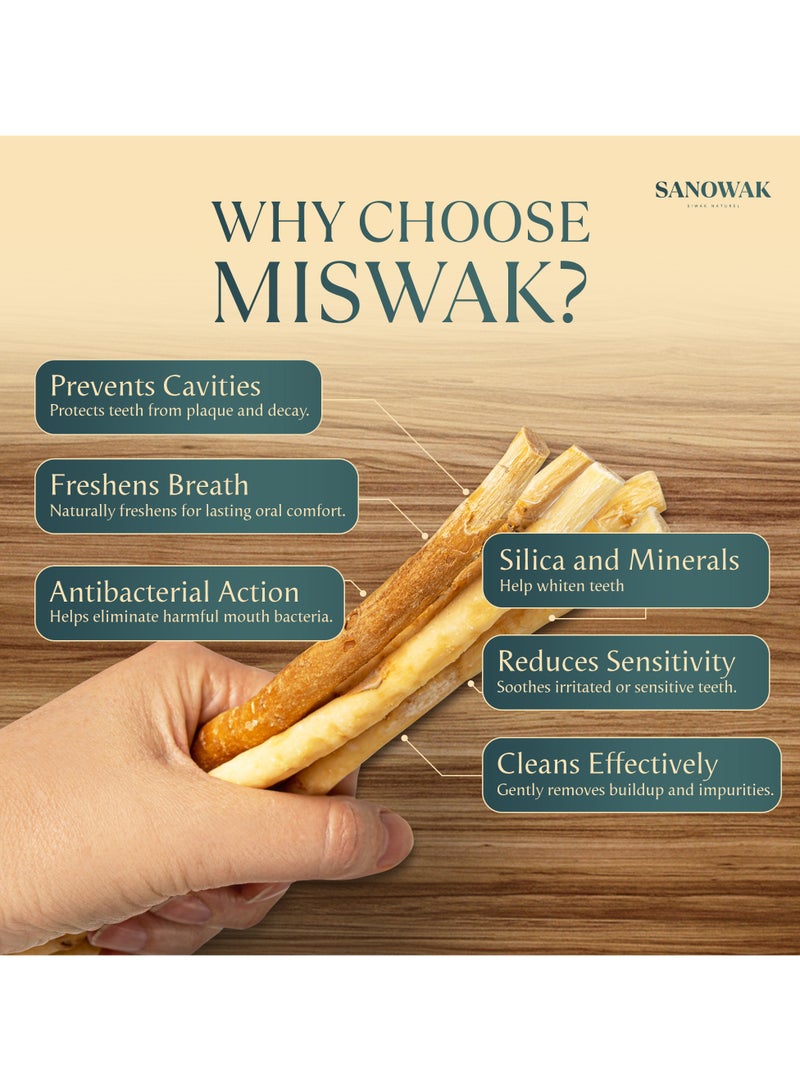 سانوك عِوَد مِسْواك / أعواد سواك طبيعية 100% – 5 فرش أسنان خشبية عضوية مع حامل بلاستيكي | لتبييض الأسنان والعناية بالفم | قابلة للمضغ 100% ومضادة للبكتيريا | صديقة للبيئة ومختومة بتفريغ الهواء - Image 4