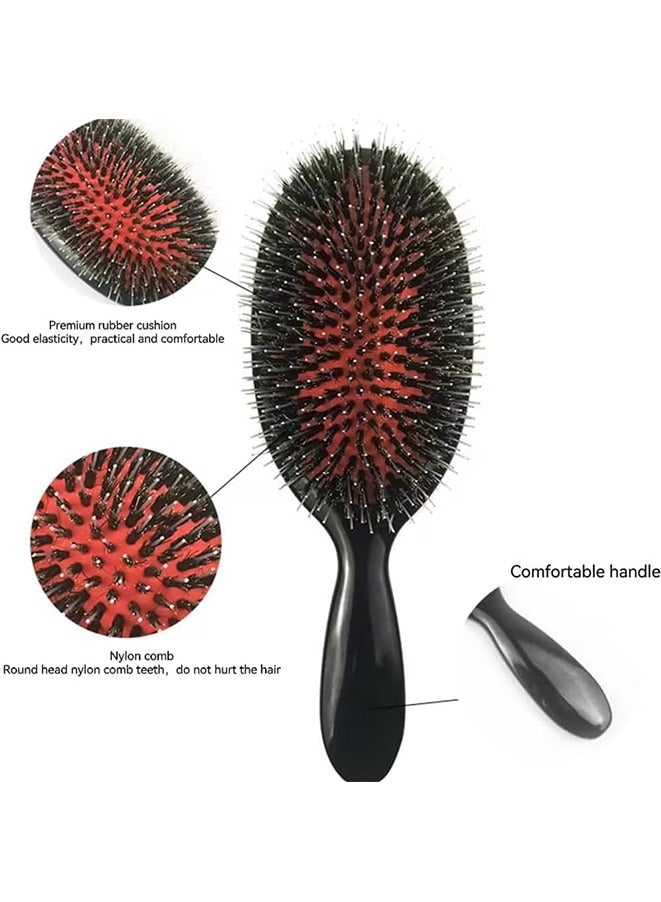 Loquat Spring Hair Extension Brush, Large Hair Brush with Soft Nylon Pin, Oval Massage Scalp Detangler Brush, Nylon Bristle Hair Brush for Detangling, Defrizz, Distribute Oil, Stimulates Scalp - Image 2