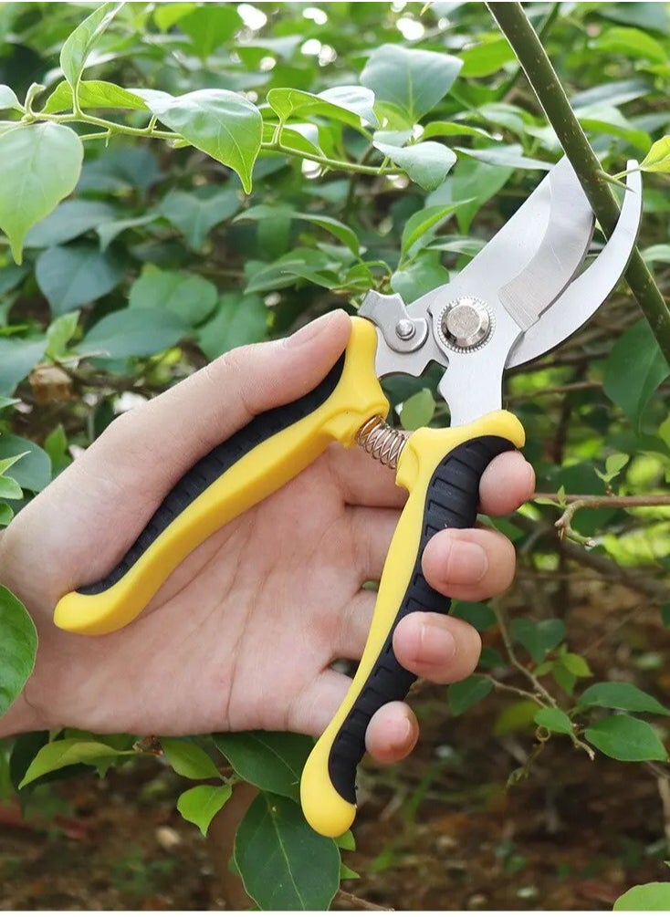 Generic Garden Pruning Shears, Hand Gardening Cutter, Professional Garden Scissors with Stainless Steel Blade,Ultra Sharp Scissors for Trimming, Fruits, Flowers, Plants  - Image 1