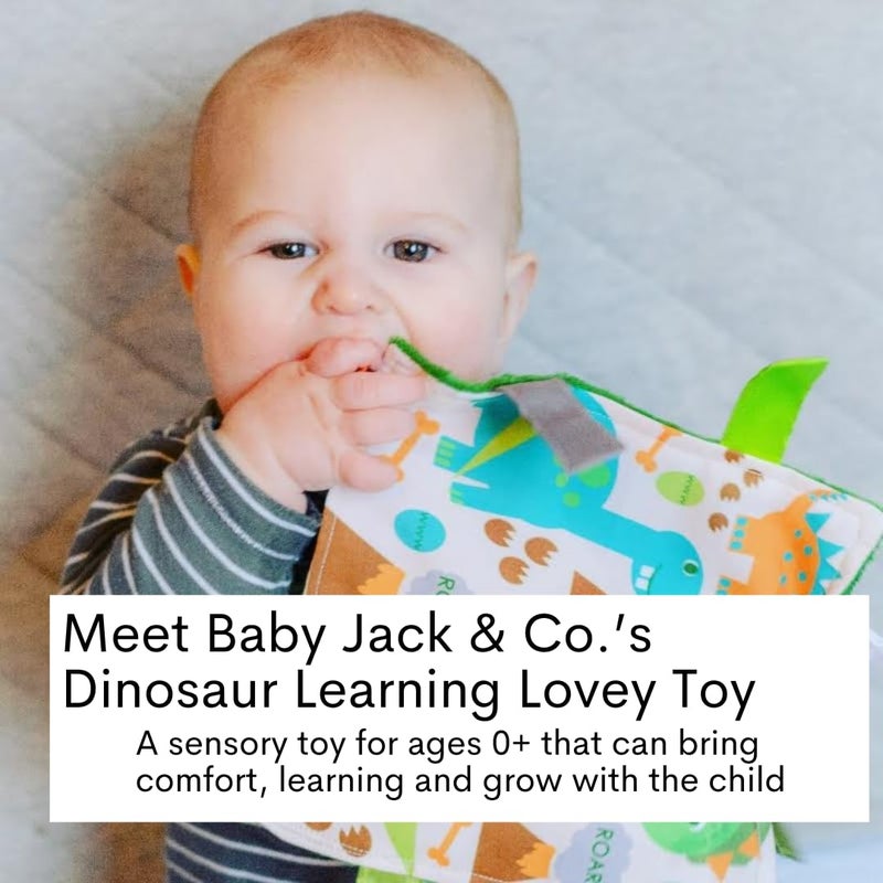 The Learning Lovey Baby Jack & Co 8x8” Dinosaur Prehistoric T-Rex Big Teeth Lovey Tag Toy - Crinkle Toy for Developing 5 Senses - Soother - Learn Shapes & Colors - Travel Gift - BPA Free w/Stroller Clip - Image 2