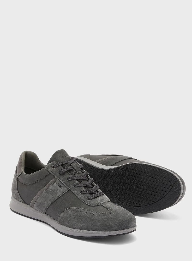 GEOX U Avery A Low Top Sneakers