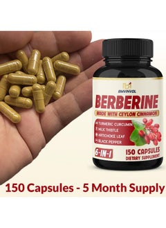 BMVINVOL Berberine Supplement Equivalent to 4700mg - 5 Months Supply - High Potency with Ceylon Cinnamon - Supports Immune System, Cardiovascular & Gastrointestinal Function - Berberine HCl Supplement Pills  - Image 3