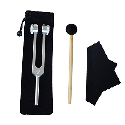 WanQin Tuning Fork, 256 Hz Tuning Fork, 256 Cps Tuning Fork Fixed Weights Clinical Grade Nerve/Sensory with Silicone Hammer - Image 1