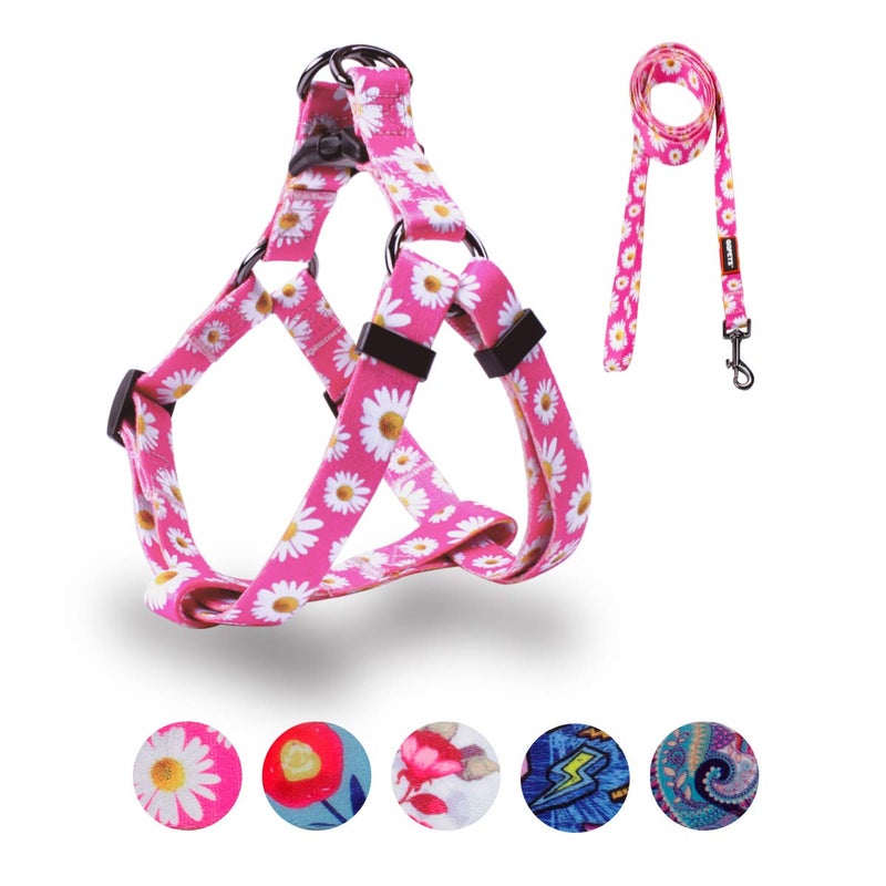 QQPETS Dog Harness Leash Set Adjustable Heavy Duty No Pull Halter Harnesses for Small Medium Large Breed Dogs Back Clip Anti-Twist Perfect for Walking (XS(12"-18" Chest Girth), Daisy) - Image 1