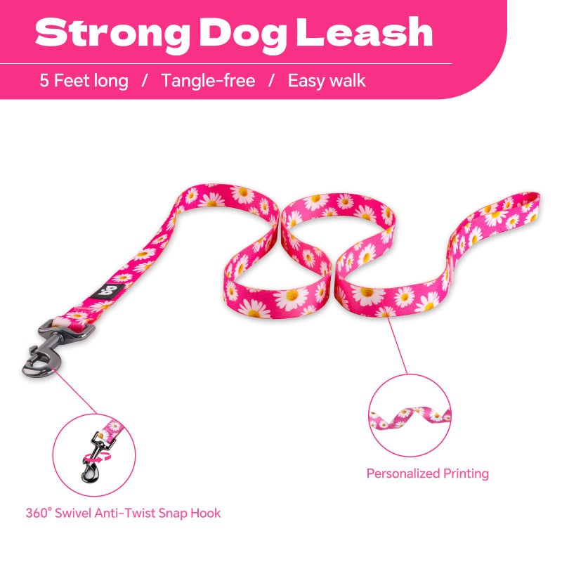 QQPETS Dog Harness Leash Set Adjustable Heavy Duty No Pull Halter Harnesses for Small Medium Large Breed Dogs Back Clip Anti-Twist Perfect for Walking (XS(12"-18" Chest Girth), Daisy) - Image 4