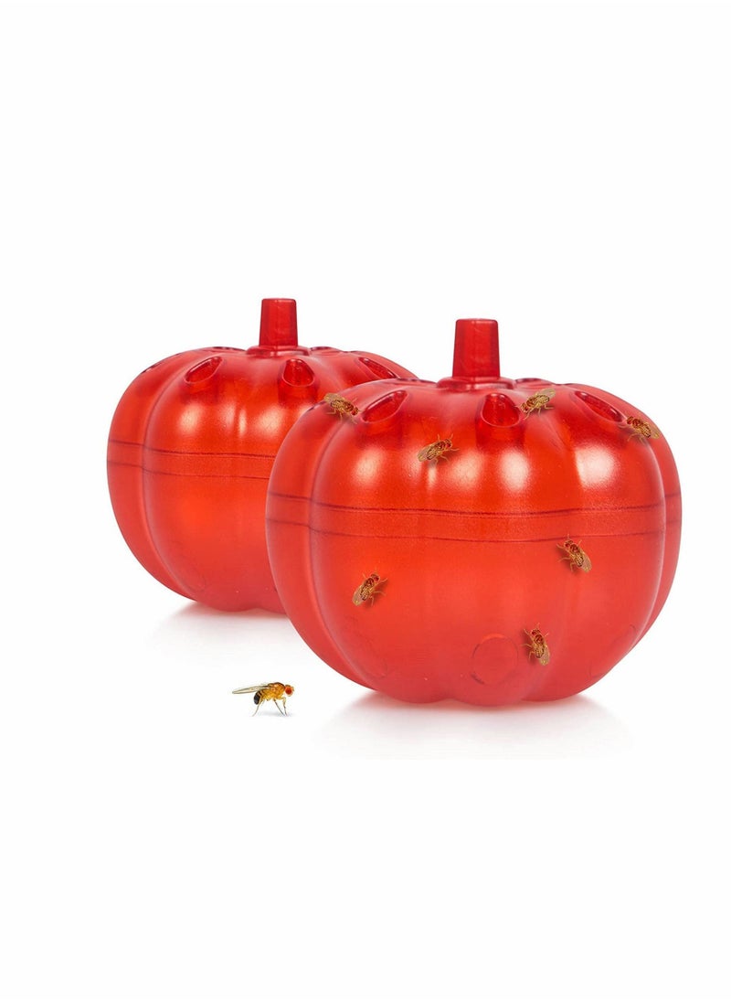 Fly Trap, 2 Pack Fruit Traps, Gnat Trap Indoor for Home/Kitchen, Killer Indoor/Plants, Home,