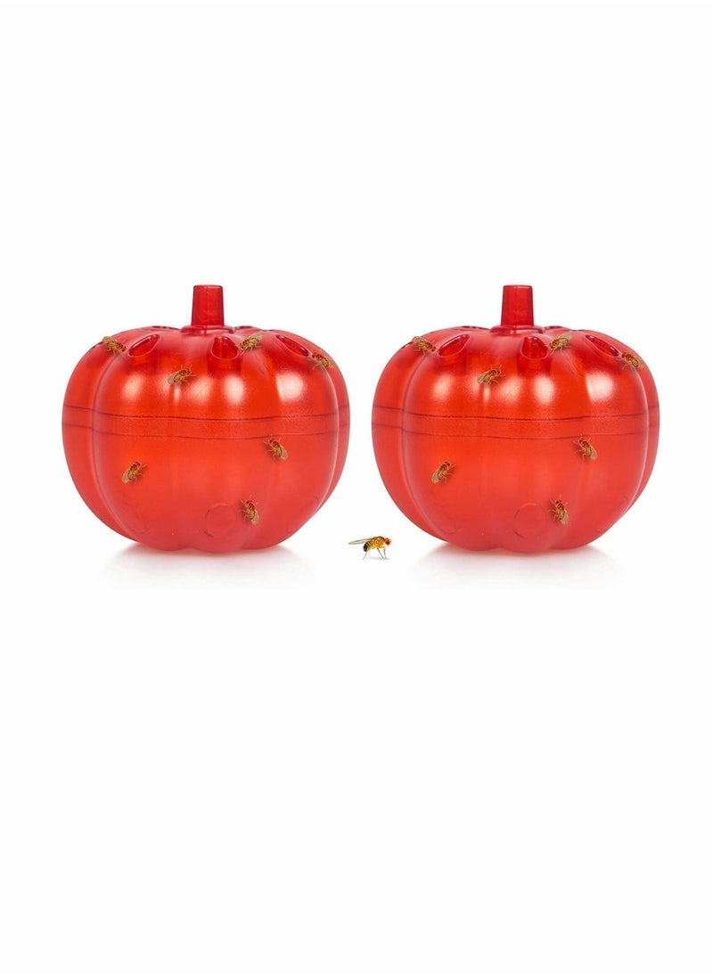 Y&D Fly Trap, 2 Pack Fruit Traps, Gnat Trap Indoor for Home/Kitchen, Killer Indoor/Plants, Home,  - Image 2