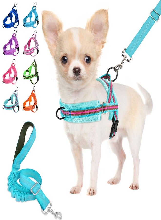 Lukovee No Pull Dog Harness and Leash Set, Soft Padded Small Dog Harness, Neck & Chest Adjustable Reflective Vest Puppy Harness with 4ft Lightweight Anti-Twist Dog Leash for Small Dogs (XS, 01-LBL) - Image 1