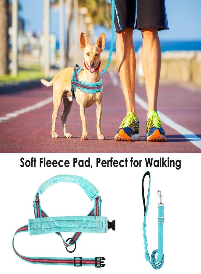 Lukovee No Pull Dog Harness and Leash Set, Soft Padded Small Dog Harness, Neck & Chest Adjustable Reflective Vest Puppy Harness with 4ft Lightweight Anti-Twist Dog Leash for Small Dogs (XS, 01-LBL) - Image 3