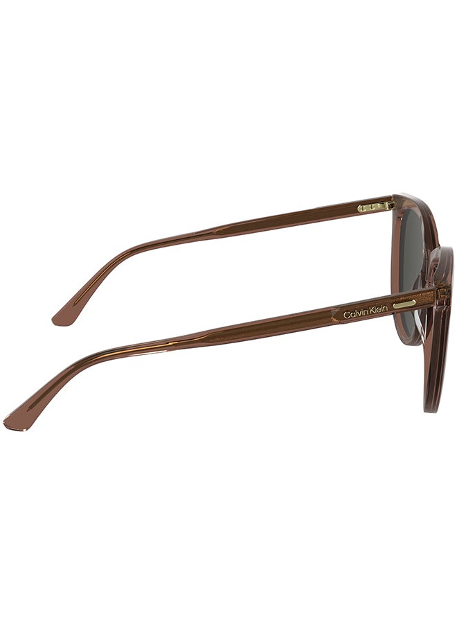 CALVIN KLEIN نظارات شمسية كاملة الإطار من أسيتات كالفن كلاين CK25508S 5516 (605) بورغندي - Image 5