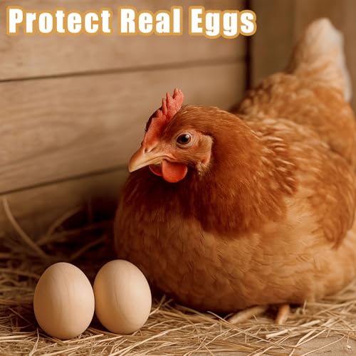 DomeStar Wooden Fake Chicken Eggs, 8PCS 2.5" Unpainted Faux Wood Eggs for Encouraging Hens to Lay - Image 5