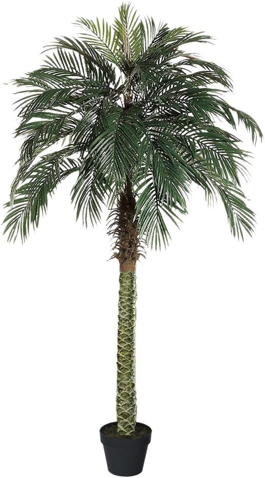 AMERIQUE نبات شجرة النخيل الاصطناعي الاستوائي الرائع الفريد 6 أقدام AMERIQUE AM23168CP525FT 7747A6M مع وعاء بلاستيكي من الحضانة بتقنية الإحساس بالواقع الأخضر - Image 1