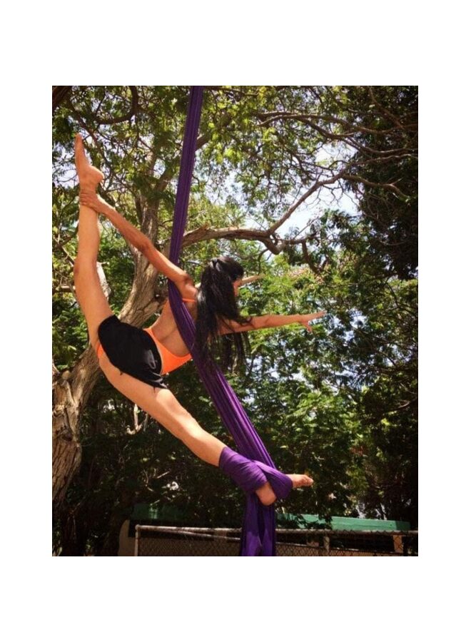 Aerial Silks + Yoga Hammock (Professional Grade) Includes Premium Aerial Nylon Tricot Fabric Silks, Full Rigging Hardware and Easy Set-up Guide(PURPLE) - Image 4