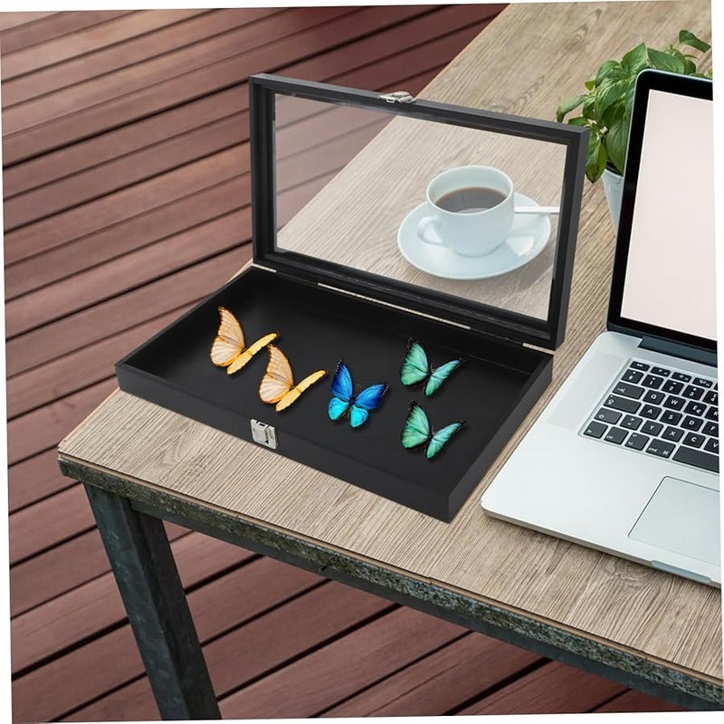 Wooden Insect Specimen Display Case With Lock For Butterfly Jewelry Collectibles Storage - Image 5