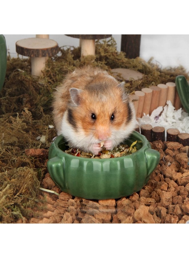 BUCATSTATE Food Bowl for Hamster 2PCS Cactus Drinking Bowl Waterproof Food Dish Ceramic Feeding Bowls for Small Animals, Birds, Guinea Pig, Chipmunk - Image 1
