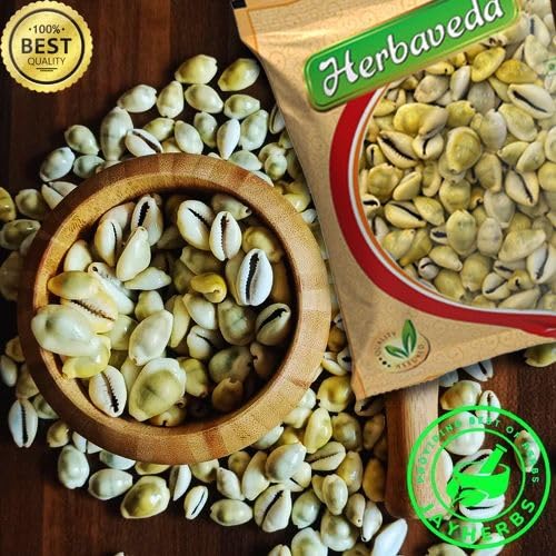 Herbaveda- Peeli Kaudi 100g | For Pooja | Peeli kodi | Peeli Koudi | Yellow Kawri | Kodi Peeli | Cowrie Sea Shell | Laxmi and Diwali Pooja Article Kaudi Shells - Image 4