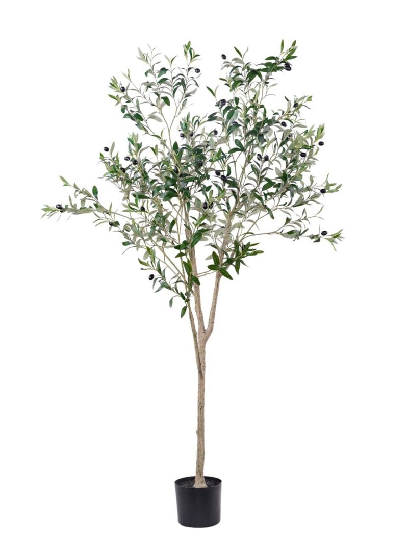 Generic Artificial Olive Tree, 6FT Tall Faux Silk Plant Artificial Tree in Potted Oliver Branch Leaves and Fruits for Modern Home Decor Indoor  - Image 1