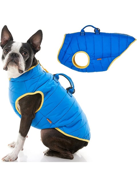 سترة شتوية مبطنة للكلاب من بلو دوغ بحواف صفراء، مناسبة للكلاب الصغيرة والمتوسطة (2-4 كجم)، والكبيرة (4-6 كجم)، والكبيرة جدًا (6-10 كجم).