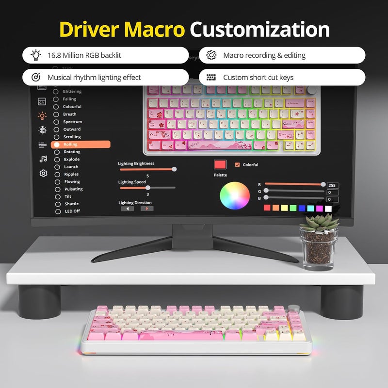 surmen 75% Pink Wireless Mechanical Keyboard Tri-Mode for PC/Laptop (Ying) | BT5.0/2.4Ghz/USB,Hot-Swap,RGB Backlit,Creamy Sounding - Image 4