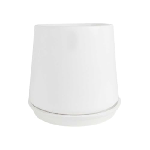 Lasaki Clara White Ceramic Planter with White (4-inch) Tray | Indoor & Outdoor Flower Pot | Decorative Balcony, Home, Garden & Office Succulent Gamla (Pot: 12.5×13 cm, Tray: 2×13 cm) - Image 3