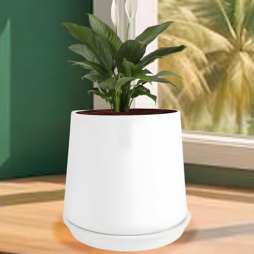 Lasaki Clara White Ceramic Planter with White (4-inch) Tray | Indoor & Outdoor Flower Pot | Decorative Balcony, Home, Garden & Office Succulent Gamla (Pot: 12.5×13 cm, Tray: 2×13 cm) - Image 1
