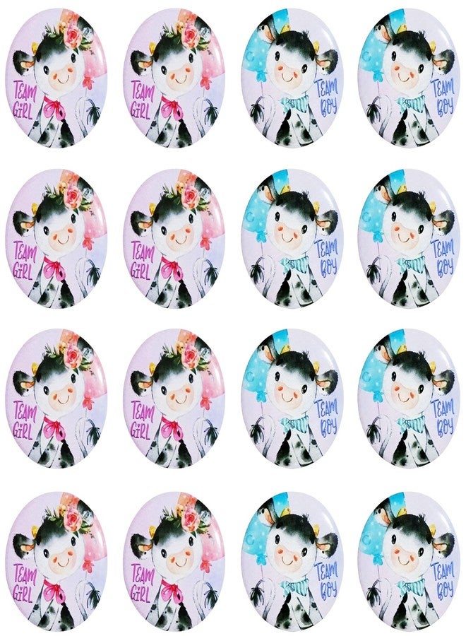 iMagitek 40 Pack Cow Gender Reveal Buttons Blue Cow Team Boy Pink Cow Team Girl Button Pins Party Games Ideas for Baby Shower Party Favors Gender Reveal Party Supplies - Image 1