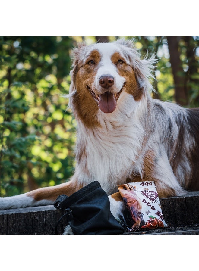 duvo Plus Duvo+ Soft Snack Salmon 100g - Image 2