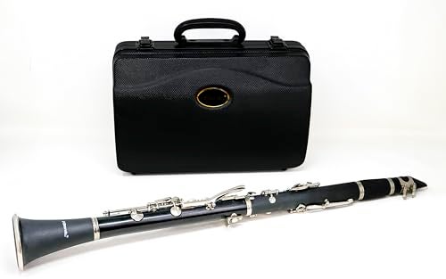 Hisonic Signature Series 2610 Bb Orchestra Clarinet with Case - Image 1