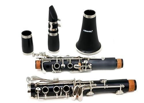Hisonic Signature Series 2610 Bb Orchestra Clarinet with Case - Image 3