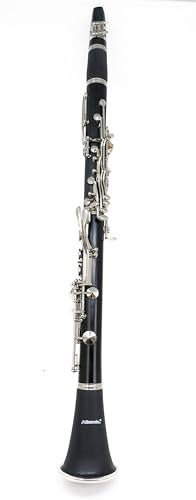 Hisonic Signature Series 2610 Bb Orchestra Clarinet with Case - Image 2