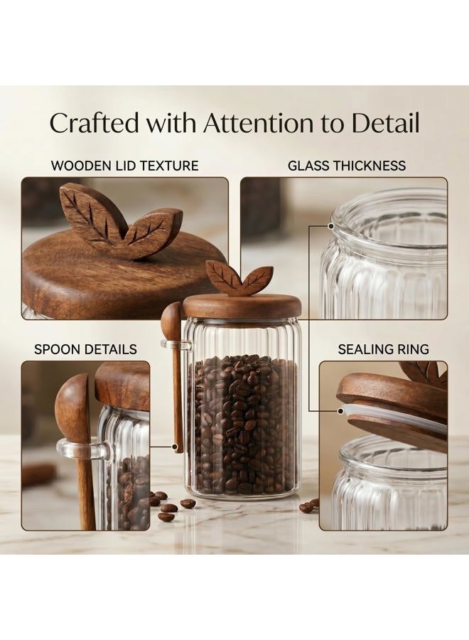 Splotiva Glass Coffee Canister with Wooden Lid & Spoon, Airtight Food Storage Jar for Coffee, Sugar, Salt, Tea & Snacks (17oz) - Image 5