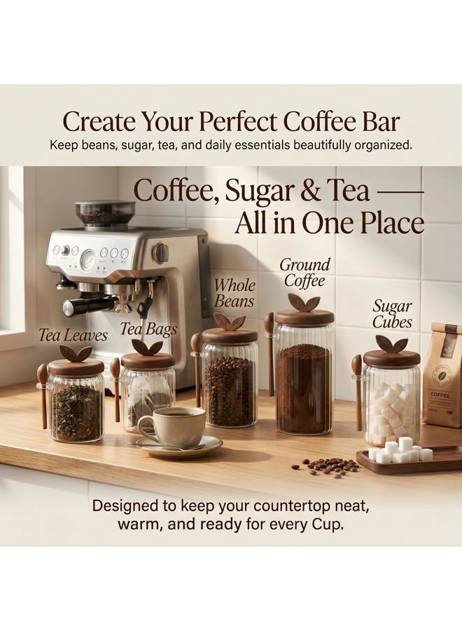 Splotiva Glass Coffee Canister with Wooden Lid & Spoon, Airtight Food Storage Jar for Coffee, Sugar, Salt, Tea & Snacks (17oz) - Image 4
