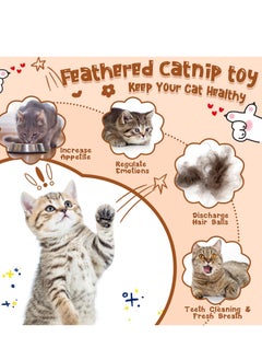 SYOSI 6 Pcs Interactive Feather Balls Toy for Cat，Catnip Feather Ball Compressed Natural Catnip Lollipop Natural Cat Kicker with Feathers for Cat Kitty  - Image 4
