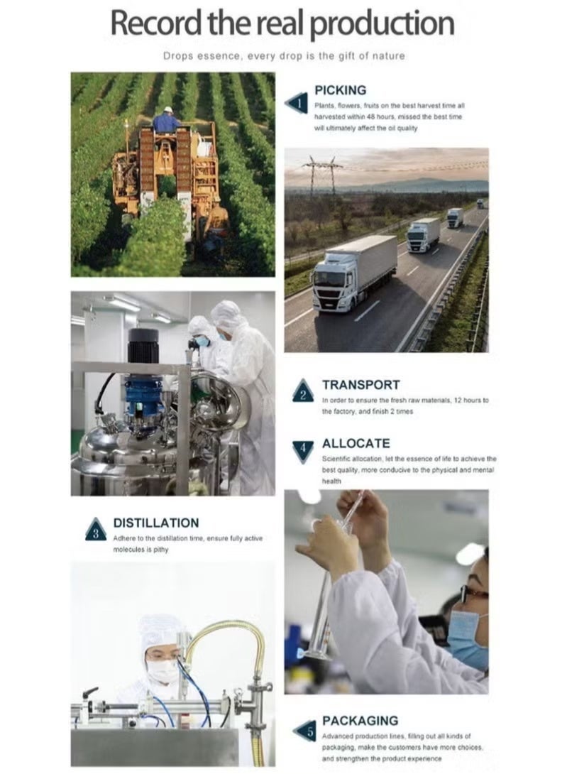 8 قطع مجموعة الزيوت الأساسية المركزية عطرية، مجموعة زيوت عطرية مركزة لعلاج العطور المنزلية والمكاتب والسيارات والمراحيض، عبوة زيوت عطرية، صبّار عطري. - Image 4