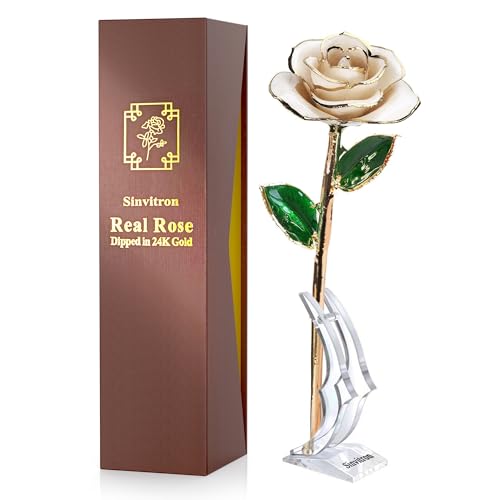 Sinvitron Gold Dipped Infinity Rose Forever Flower Decor Resin Preserved Real Rose Birthday Gift for Women Anniversary Present for Mom Ivory White